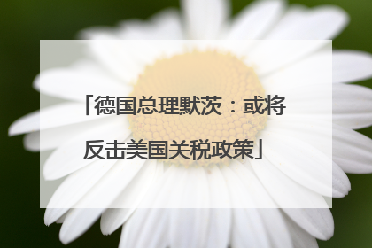 德国总理默茨：或将反击美国关税政策