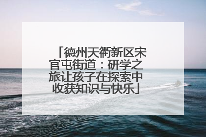 德州天衢新区宋官屯街道：研学之旅让孩子在探索中收获知识与快乐