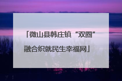 微山县韩庄镇“双圈”融合织就民生幸福网