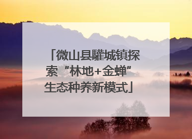 微山县驩城镇探索“林地+金蝉”生态种养新模式
