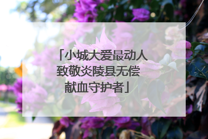 小城大爱最动人 致敬炎陵县无偿献血守护者