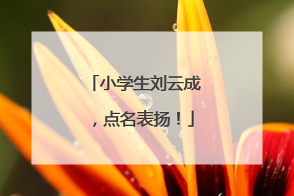 小学生刘云成，点名表扬！