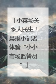 小菜场关系大民生！晨报小记者体验“小小市场监管员”