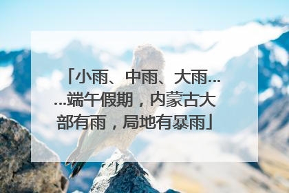 小雨、中雨、大雨……端午假期，内蒙古大部有雨，局地有暴雨