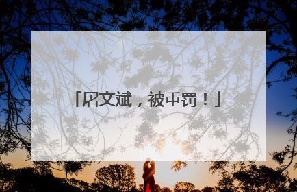 屠文斌，被重罚！