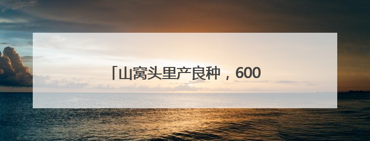 山窝头里产良种，600多亩地增收近20万元