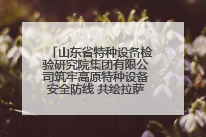山东省特种设备检验研究院集团有限公司筑牢高原特种设备安全防线 共绘拉萨美好生活画卷