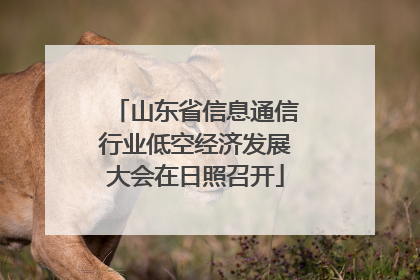 山东省信息通信行业低空经济发展大会在日照召开