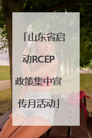 山东省启动RCEP政策集中宣传月活动