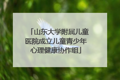 山东大学附属儿童医院成立儿童青少年心理健康协作组