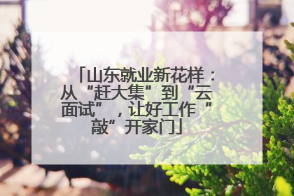山东就业新花样：从“赶大集”到“云面试”，让好工作“敲”开家门