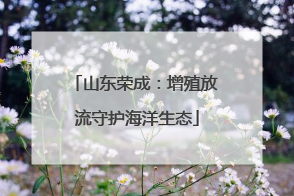 山东荣成：增殖放流守护海洋生态