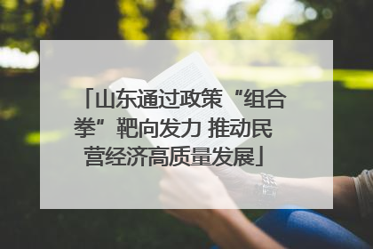 山东通过政策“组合拳”靶向发力 推动民营经济高质量发展