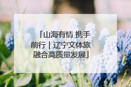 山海有情 携手前行｜辽宁文体旅融合高质量发展