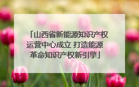 山西省新能源知识产权运营中心成立 打造能源革命知识产权新引擎