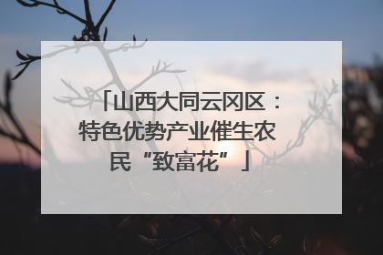山西大同云冈区：特色优势产业催生农民“致富花”
