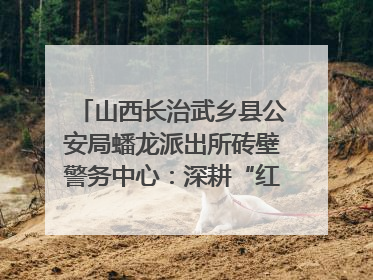 山西长治武乡县公安局蟠龙派出所砖壁警务中心：深耕“红色警务” 谱写“平安答卷”