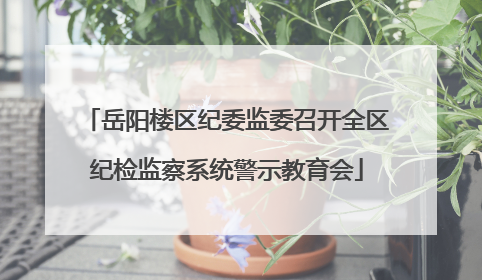 岳阳楼区纪委监委召开全区纪检监察系统警示教育会