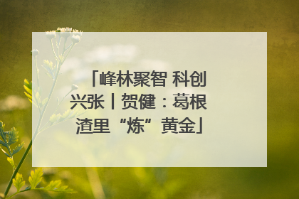 峰林聚智 科创兴张丨贺健：葛根渣里“炼”黄金