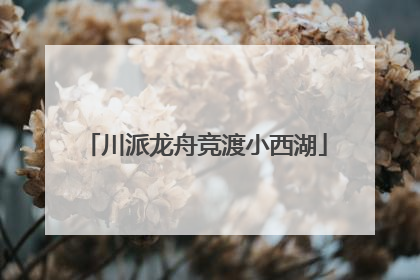 川派龙舟竞渡小西湖