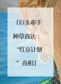 巨头牵手种草直达：“红京计划”亮相