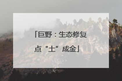 巨野：生态修复点“土”成金