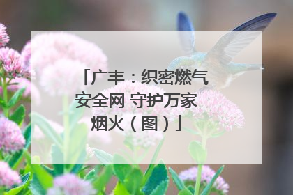 广丰：织密燃气安全网 守护万家烟火（图）