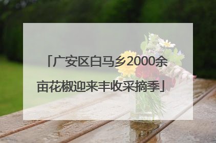 广安区白马乡2000余亩花椒迎来丰收采摘季
