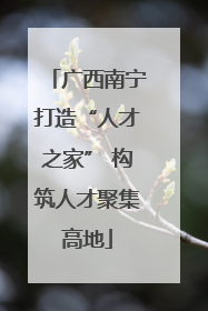 广西南宁打造“人才之家” 构筑人才聚集高地