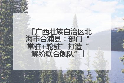 广西壮族自治区北海市合浦县：部门“常驻+轮驻”打造“解纷联合舰队”