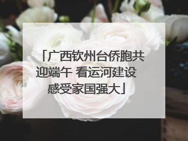 广西钦州台侨胞共迎端午 看运河建设感受家国强大