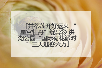 并蒂莲开好运来 “星空牡丹”绽异彩 洪湖公园“国际荷花派对”三天迎客六万