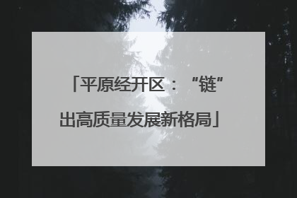 平原经开区：“链”出高质量发展新格局