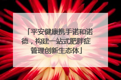 平安健康携手诺和诺德，构建一站式肥胖症管理创新生态体