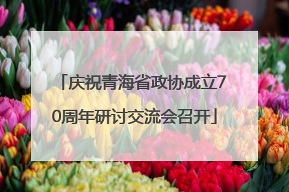 庆祝青海省政协成立70周年研讨交流会召开