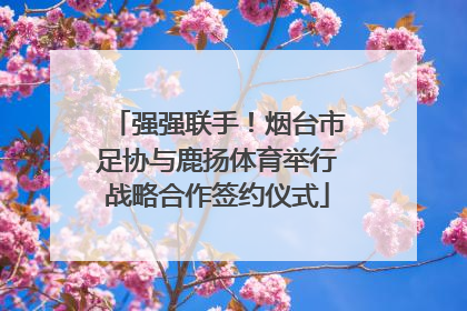 强强联手！烟台市足协与鹿扬体育举行战略合作签约仪式