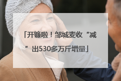 开镰啦！邹城麦收“减”出530多万斤增量