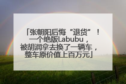 张朝阳后悔“退货”！一个绝版Labubu，被胡润拿去换了一辆车，整车原价值上百万元