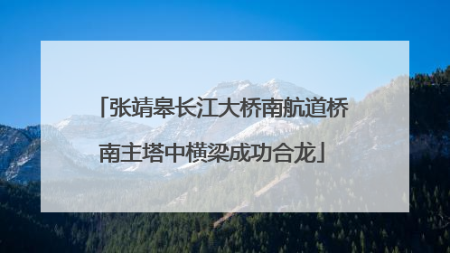 张靖皋长江大桥南航道桥南主塔中横梁成功合龙