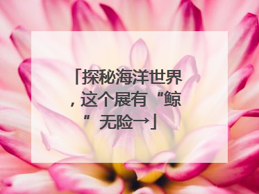探秘海洋世界，这个展有“鲸”无险→
