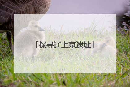 探寻辽上京遗址