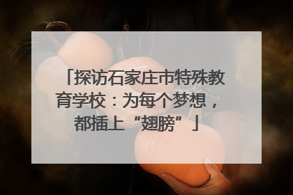 探访石家庄市特殊教育学校：为每个梦想，都插上“翅膀”
