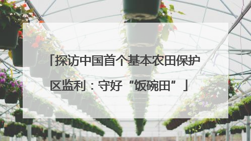 探访中国首个基本农田保护区监利：守好“饭碗田”