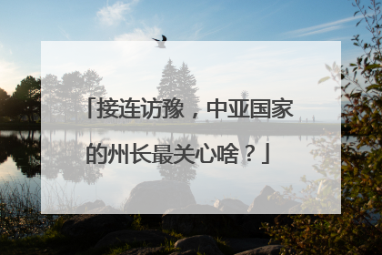 接连访豫，中亚国家的州长最关心啥？