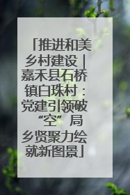 推进和美乡村建设｜嘉禾县石桥镇白珠村：党建引领破“空”局 乡贤聚力绘就新图景