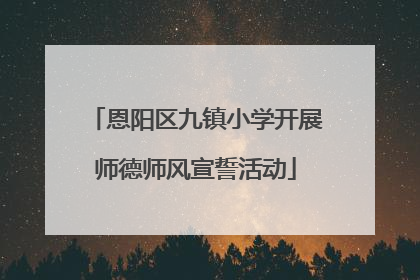 恩阳区九镇小学开展师德师风宣誓活动