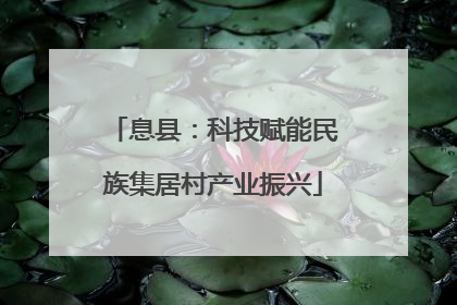 息县：科技赋能民族集居村产业振兴
