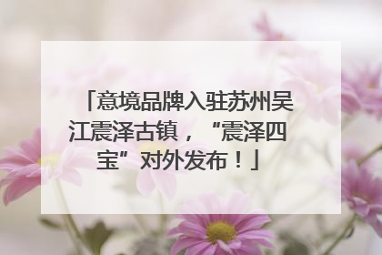 意境品牌入驻苏州吴江震泽古镇，“震泽四宝”对外发布！