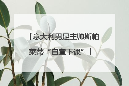 意大利男足主帅斯帕莱蒂“自宣下课”