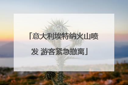 意大利埃特纳火山喷发 游客紧急撤离
